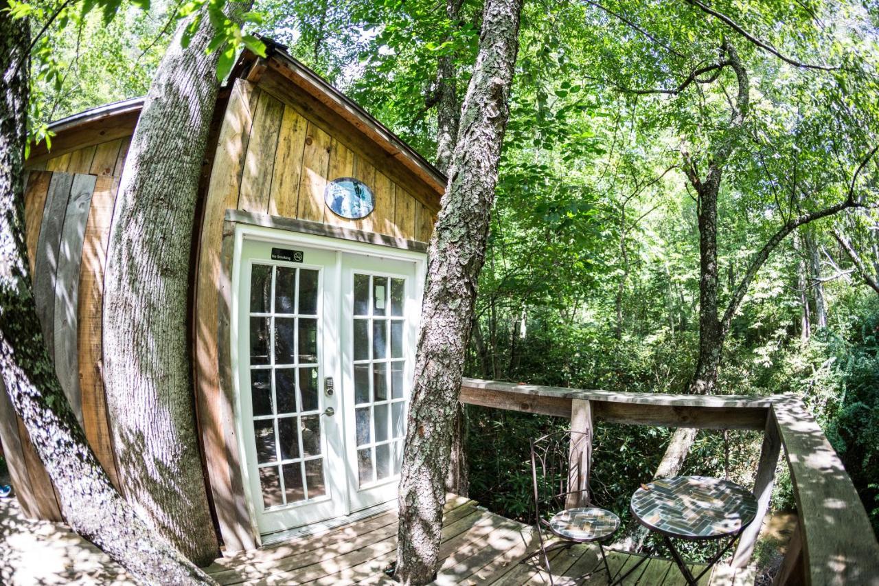 Mountain Harbour B&B Roan Mountain Extérieur photo